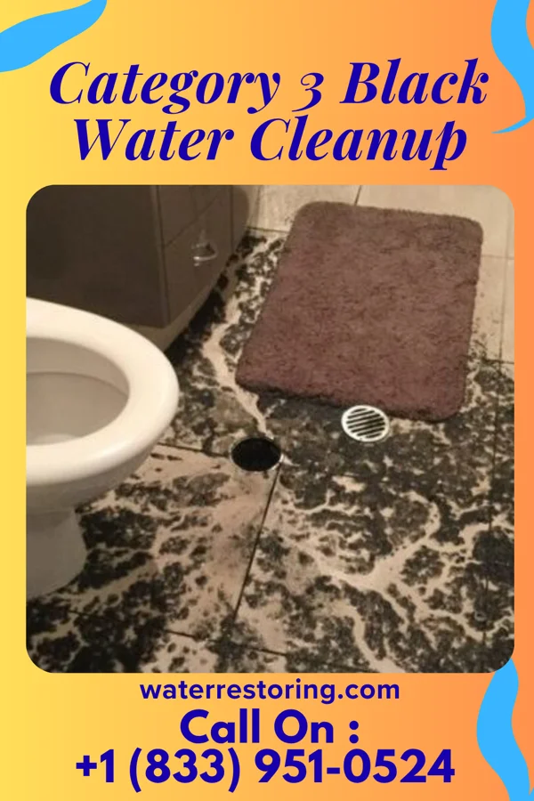 Category 3 Black Water Cleanup in Crystal Lakes, MO